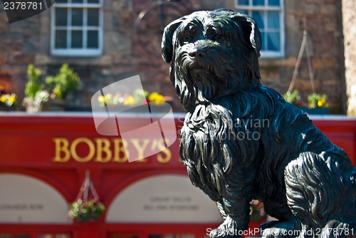 Image of Greyfriar's Bobby