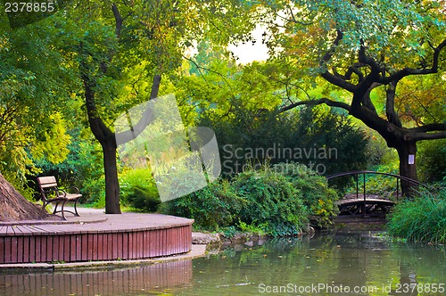 Image of Japanese garden