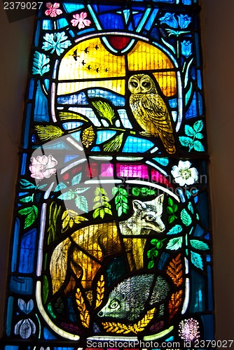Image of Stained glass window