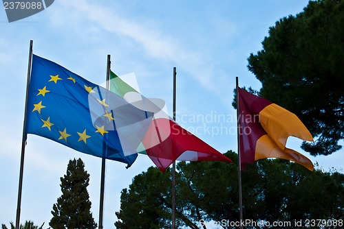 Image of Flags