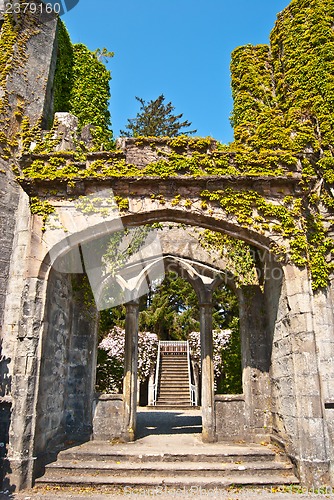 Image of Armadale Castle Gardens