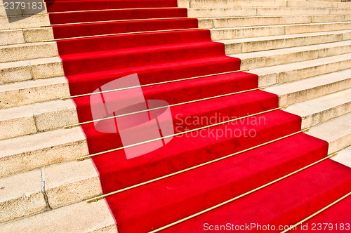 Image of Red carpet