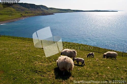 Image of Isle of Skye