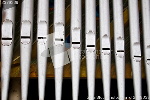Image of Organ pipes