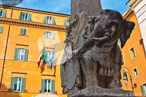 Image of Berninis elephant