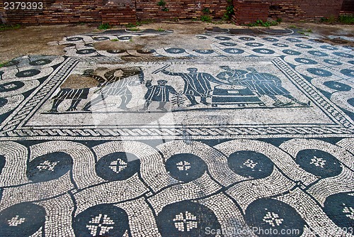 Image of Ostia