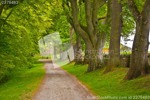 Image of Scottish scenery