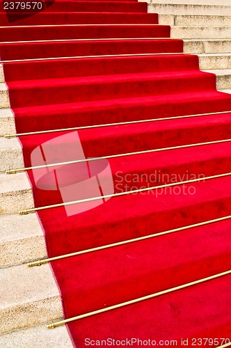 Image of Red carpet