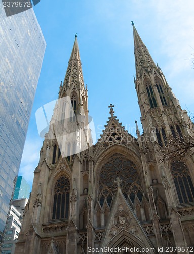 Image of St Patricks Cathedral