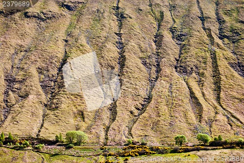 Image of Glencoe