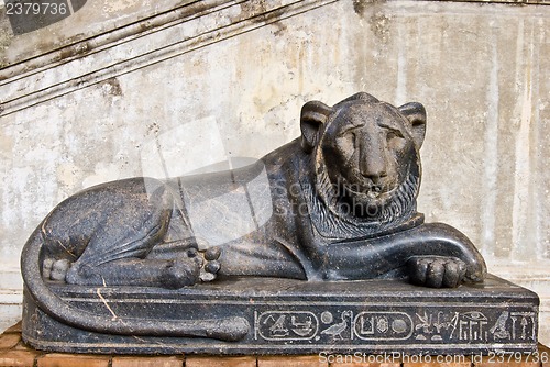 Image of Vatican museum