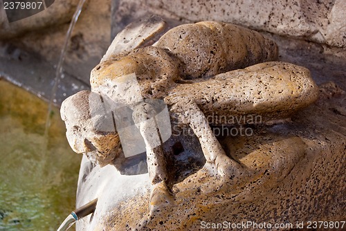 Image of Fontana delle Api