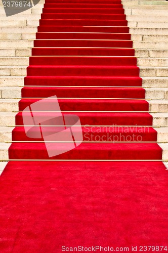 Image of Red carpet