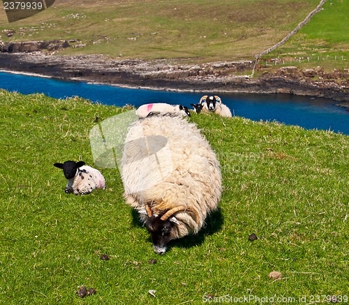 Image of Scottish scenery
