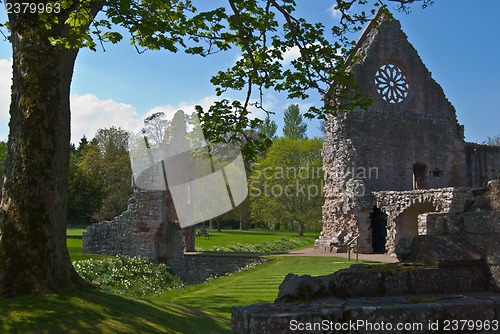 Image of Dryburgh Abbey
