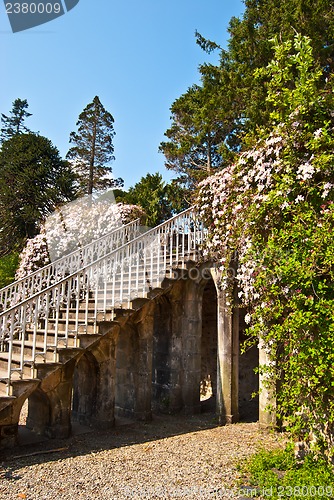 Image of Armadale Castle Gardens