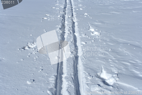 Image of Ski track crossing a winter terrain