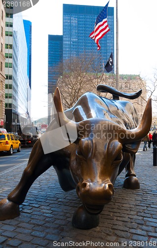 Image of Charging bull