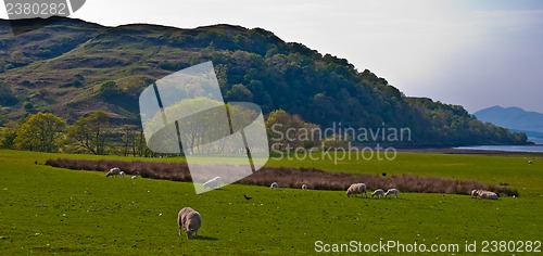 Image of Scottish scenery