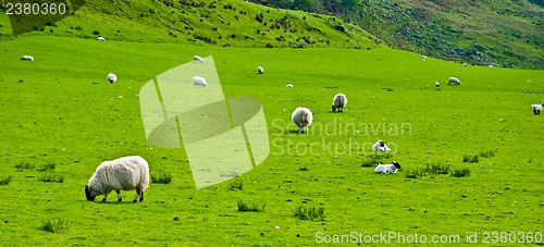Image of Scottish scenery