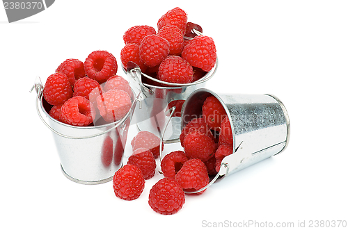 Image of Buckets with Raspberries