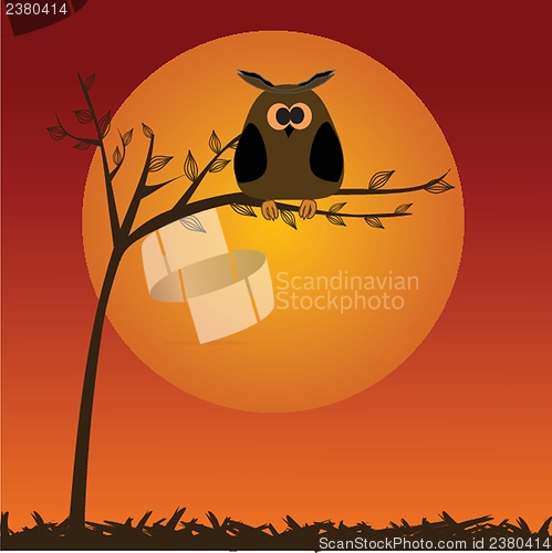 Image of illustration of a funny character owl