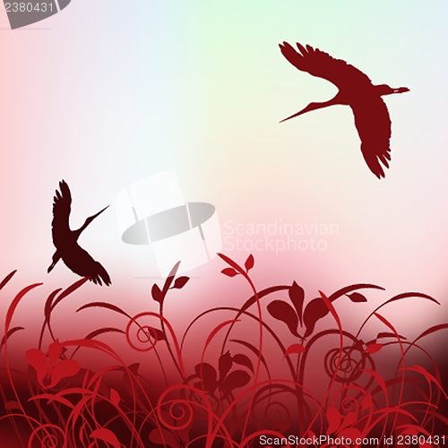 Image of  beautiful cranes flying in the spring sky.