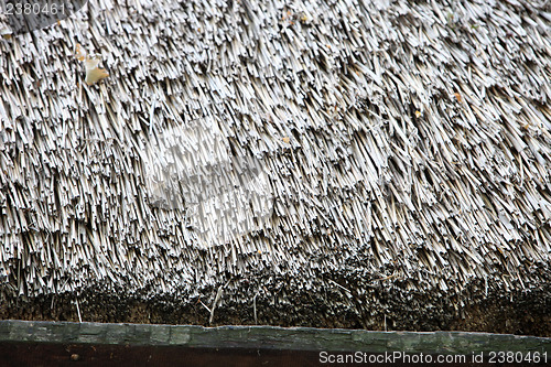 Image of Thatch roof