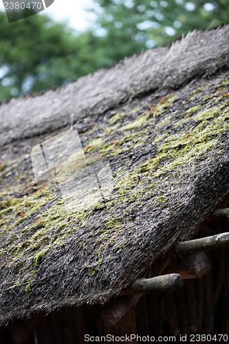 Image of Thatch roof with moss