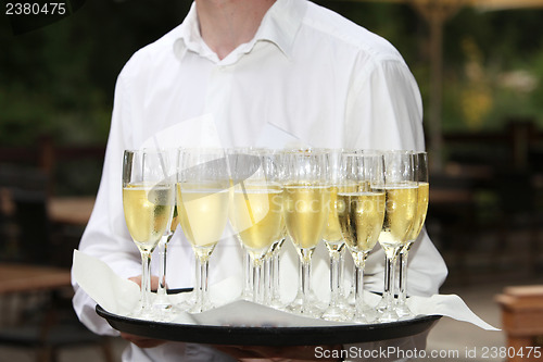 Image of Waiter with a tray of champagne flutes
