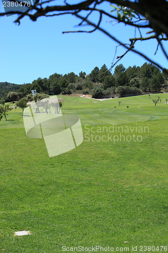 Image of View from the tee of on a golf course