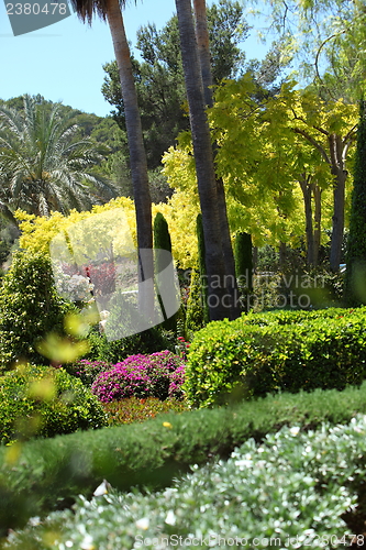 Image of Lush tropical garden