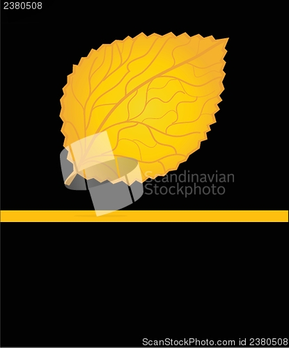 Image of  colorful autumn leaves. Vector illustration.
