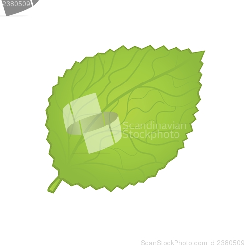 Image of  colorful autumn leaves. Vector illustration.