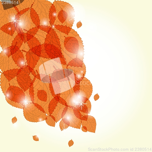 Image of  Colorful autumn leaves. Vector illustration.