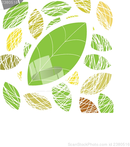 Image of  colorful autumn leaves. Vector illustration.