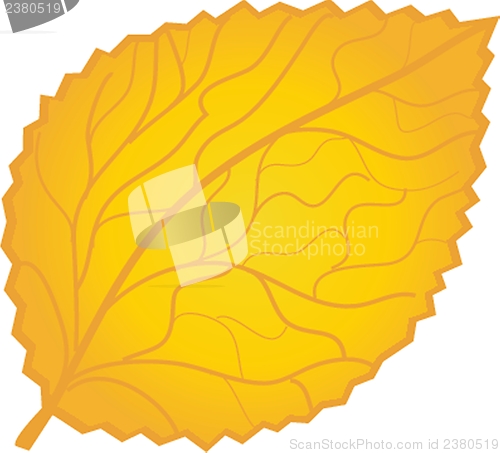 Image of  colorful autumn leaves. Vector illustration.
