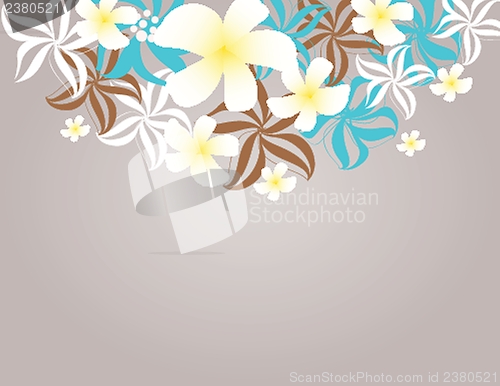 Image of Tropical flowers frangipani (plumeria) .