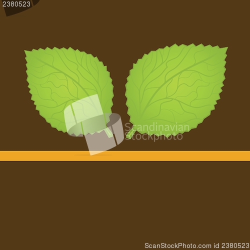 Image of  Colorful autumn leaves. Vector illustration.