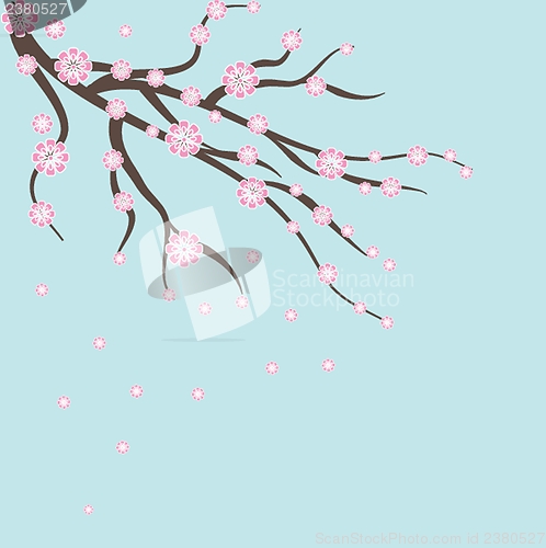 Image of Cherry blossom ,sakura flower.