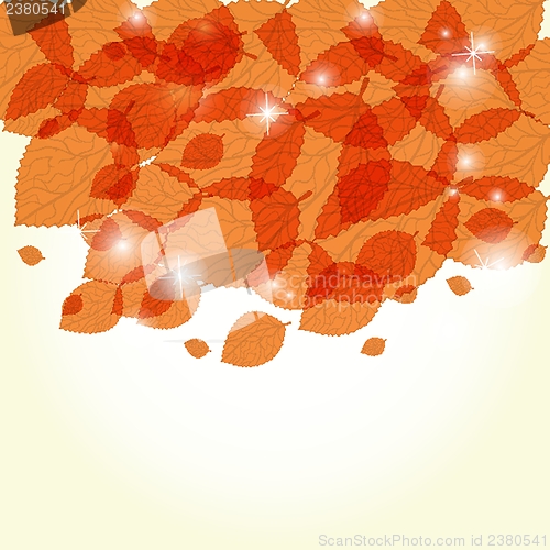 Image of  Colorful autumn leaves. Vector illustration.