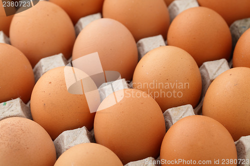 Image of Farm egg