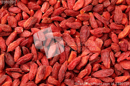 Image of Dried wolfberry fruit