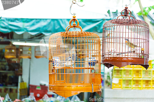 Image of Birdcage on bird park in Hong Kong