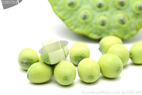 Image of Fresh lotus seeds and pod isolated on white background