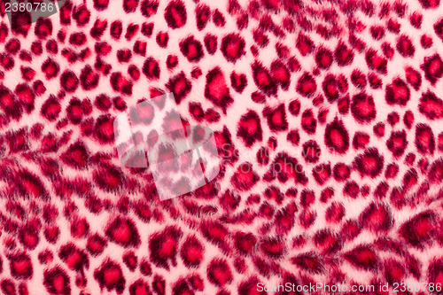 Image of Leopard Printed in pink