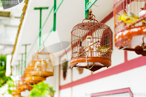 Image of Birdcage on bird park in Hong Kong