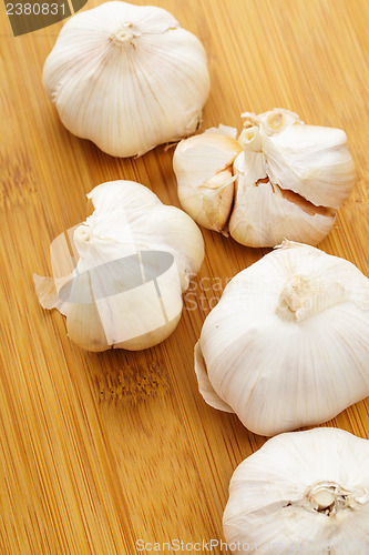 Image of Garlic