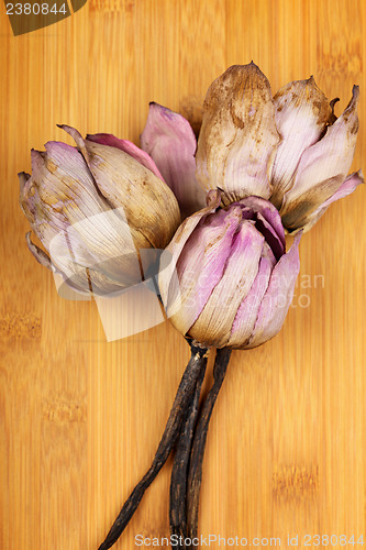 Image of Bouquet of dead lotus