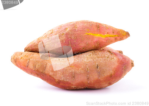 Image of Organic sweet potatoes